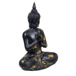 Buddha en Prière