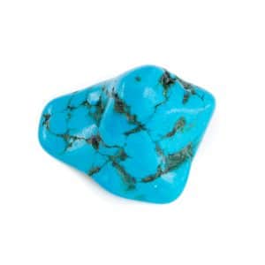 Pierre Palmier Turquoise (20 - 40 mm)