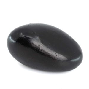 Pierre de Palmier Shungite Polie 50 - 100 grammes