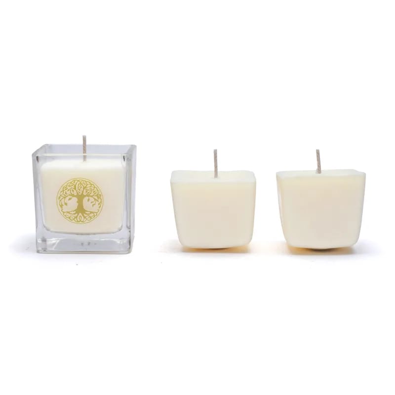 Set de 3 Bougies Parfumées Écologiques + 1 Verre - Cire de Colza - Arbre de Vie (480 grammes)