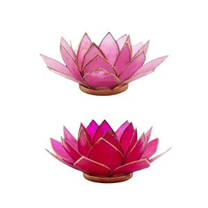 Ensemble de Boules Lumineuses Lotus Rose - Lot