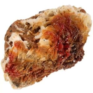 Barytine Vanadinite Marocaine pour Vitalité et Concentration