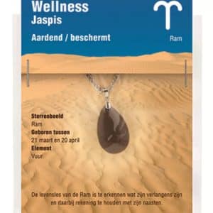 Pendentif signe astrologique Bélier en jaspe avec chaîne en acier inoxydable