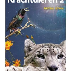 Ensemble de Cartes Animaux de Pouvoir 66 Pièces dans une Boîte en Carton