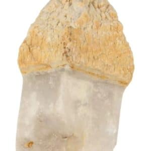 Sceptre de quartz Merlin indonésien 775 grammes